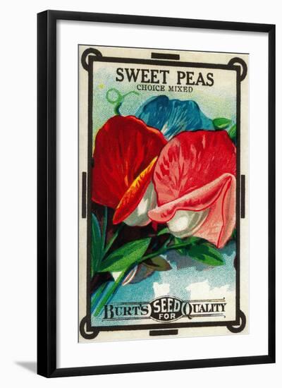 Sweet Peas Seed Packet-Lantern Press-Framed Art Print