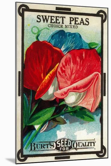 Sweet Peas Seed Packet-Lantern Press-Mounted Art Print