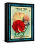 Sweet Peas Seed Packet-Lantern Press-Framed Stretched Canvas