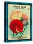 Sweet Peas Seed Packet-Lantern Press-Stretched Canvas