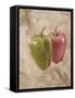 Sweet Peppers I-li bo-Framed Stretched Canvas