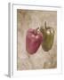 Sweet Peppers III-li bo-Framed Giclee Print