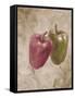 Sweet Peppers III-li bo-Framed Stretched Canvas