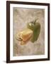 Sweet Peppers IV-li bo-Framed Giclee Print