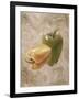 Sweet Peppers IV-li bo-Framed Giclee Print