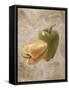 Sweet Peppers IV-li bo-Framed Stretched Canvas