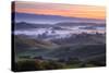 Sweet Petaluma Morning, Northern California-Vincent James-Stretched Canvas