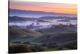 Sweet Petaluma Morning, Northern California-Vincent James-Stretched Canvas