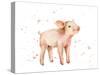 Sweet Piggy-Katrina Pete-Stretched Canvas