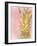 Sweet Pineapple 2-Kimberly Allen-Framed Art Print