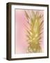 Sweet Pineapple 2-Kimberly Allen-Framed Art Print