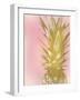 Sweet Pineapple 2-Kimberly Allen-Framed Art Print