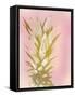 Sweet Pinneapple 1-Kimberly Allen-Framed Stretched Canvas