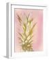 Sweet Pinneapple 1-Kimberly Allen-Framed Art Print