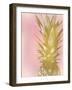 Sweet Pinneapple 2-Kimberly Allen-Framed Art Print