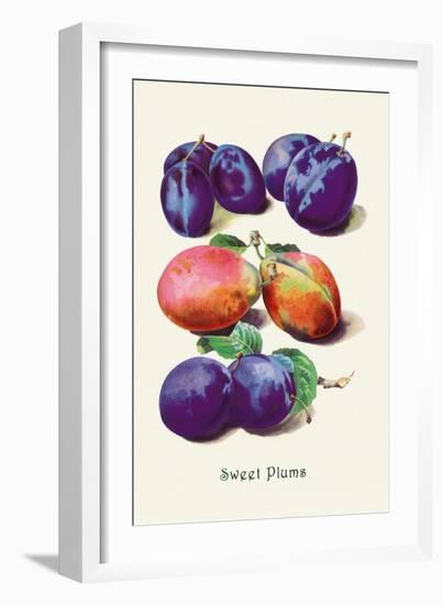 Sweet Plums-null-Framed Art Print