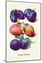 Sweet Plums-null-Mounted Art Print
