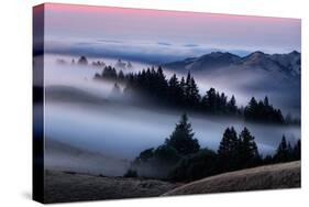 Sweet Post Sunset Light and Fog, Hills of Mount Tam, Northern California-Vincent James-Stretched Canvas