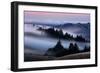 Sweet Post Sunset Light and Fog, Hills of Mount Tam, Northern California-Vincent James-Framed Photographic Print