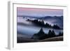 Sweet Post Sunset Light and Fog, Hills of Mount Tam, Northern California-Vincent James-Framed Photographic Print