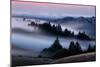 Sweet Post Sunset Light and Fog, Hills of Mount Tam, Northern California-Vincent James-Mounted Photographic Print