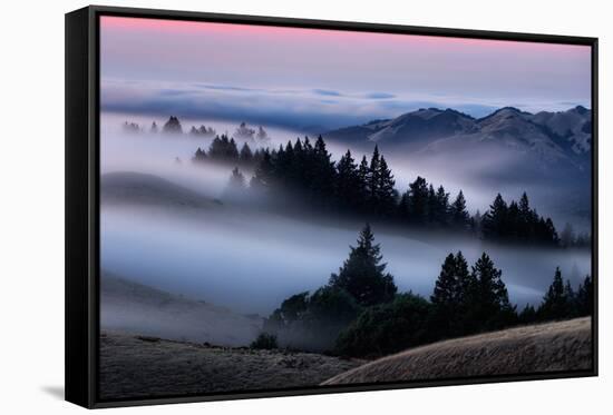 Sweet Post Sunset Light and Fog, Hills of Mount Tam, Northern California-Vincent James-Framed Stretched Canvas