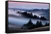 Sweet Post Sunset Light and Fog, Hills of Mount Tam, Northern California-Vincent James-Framed Stretched Canvas