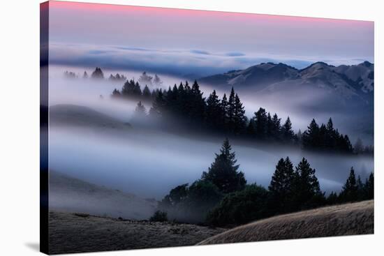 Sweet Post Sunset Light and Fog, Hills of Mount Tam, Northern California-Vincent James-Stretched Canvas