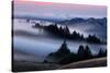 Sweet Post Sunset Light and Fog, Hills of Mount Tam, Northern California-Vincent James-Stretched Canvas