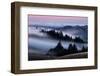 Sweet Post Sunset Light and Fog, Hills of Mount Tam, Northern California-Vincent James-Framed Photographic Print