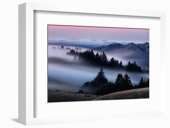 Sweet Post Sunset Light and Fog, Hills of Mount Tam, Northern California-Vincent James-Framed Photographic Print