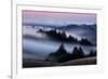 Sweet Post Sunset Light and Fog, Hills of Mount Tam, Northern California-Vincent James-Framed Photographic Print