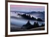 Sweet Post Sunset Light and Fog, Hills of Mount Tam, Northern California-Vincent James-Framed Photographic Print