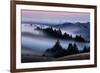 Sweet Post Sunset Light and Fog, Hills of Mount Tam, Northern California-Vincent James-Framed Photographic Print