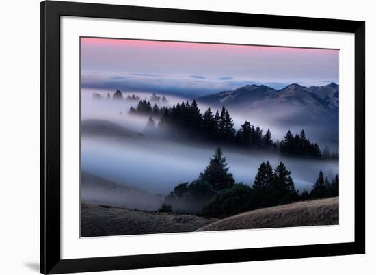 Sweet Post Sunset Light and Fog, Hills of Mount Tam, Northern California-Vincent James-Framed Photographic Print