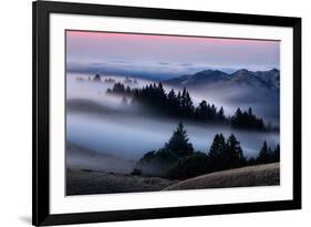 Sweet Post Sunset Light and Fog, Hills of Mount Tam, Northern California-Vincent James-Framed Photographic Print