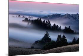 Sweet Post Sunset Light and Fog, Hills of Mount Tam, Northern California-Vincent James-Mounted Photographic Print