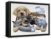 Sweet Puppy Tales-Jenny Newland-Framed Stretched Canvas