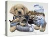 Sweet Puppy Tales-Jenny Newland-Stretched Canvas