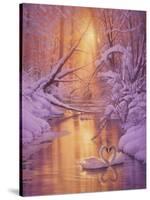 Sweet Remembrance-Kirk Reinert-Stretched Canvas