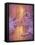 Sweet Remembrance-Kirk Reinert-Framed Stretched Canvas