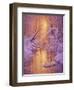 Sweet Remembrance-Kirk Reinert-Framed Giclee Print