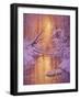 Sweet Remembrance-Kirk Reinert-Framed Giclee Print