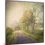 Sweet Road-Dawne Polis-Mounted Giclee Print