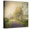 Sweet Road-Dawne Polis-Stretched Canvas