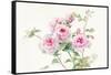 Sweet Roses on White Green-Danhui Nai-Framed Stretched Canvas