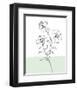 Sweet Stems II-Regina Moore-Framed Art Print