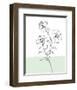 Sweet Stems II-Regina Moore-Framed Art Print