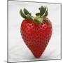 Sweet Strawberry-Nicole Katano-Mounted Photo