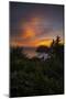 Sweet Summer Burn at Trinidad Beach, Humboldt County-Vincent James-Mounted Photographic Print